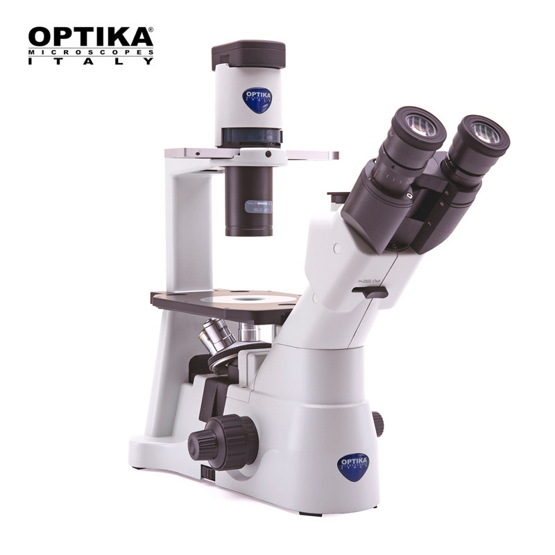 Microscopio Invertido trinocular - OPTIKA IM-3